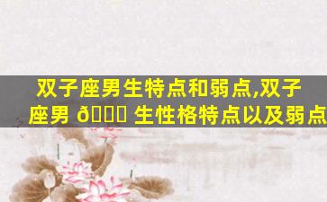 双子座男生特点和弱点,双子座男 🐞 生性格特点以及弱点